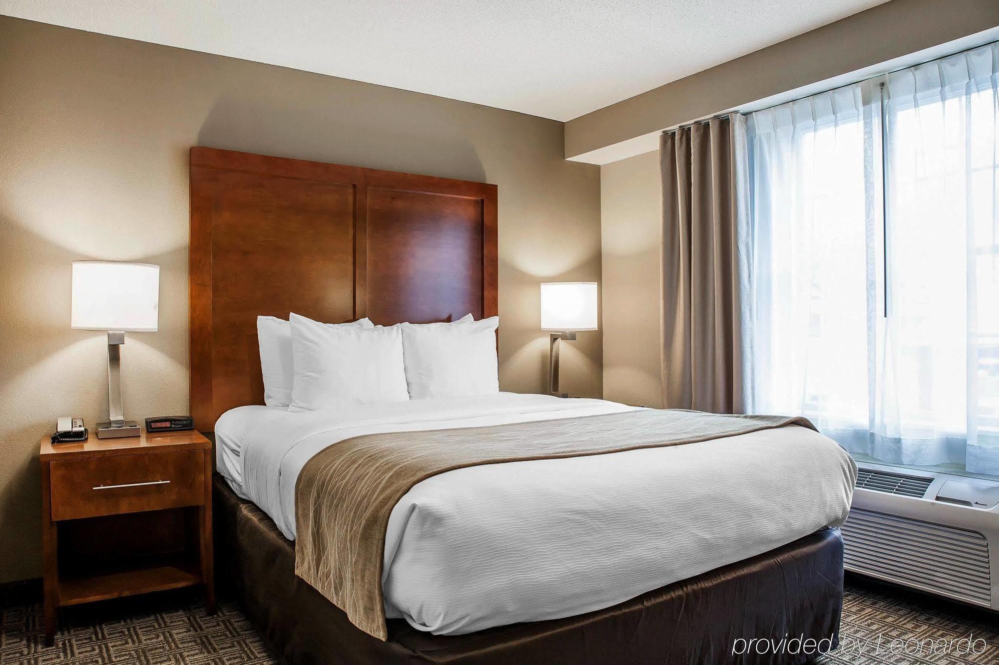 Comfort Inn & Suites Sturbridge-Brimfield 외부 사진