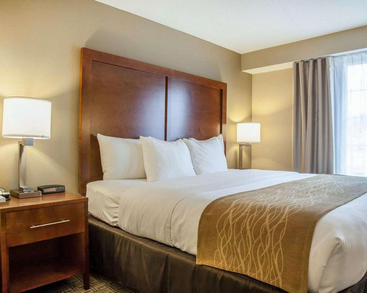Comfort Inn & Suites Sturbridge-Brimfield 외부 사진