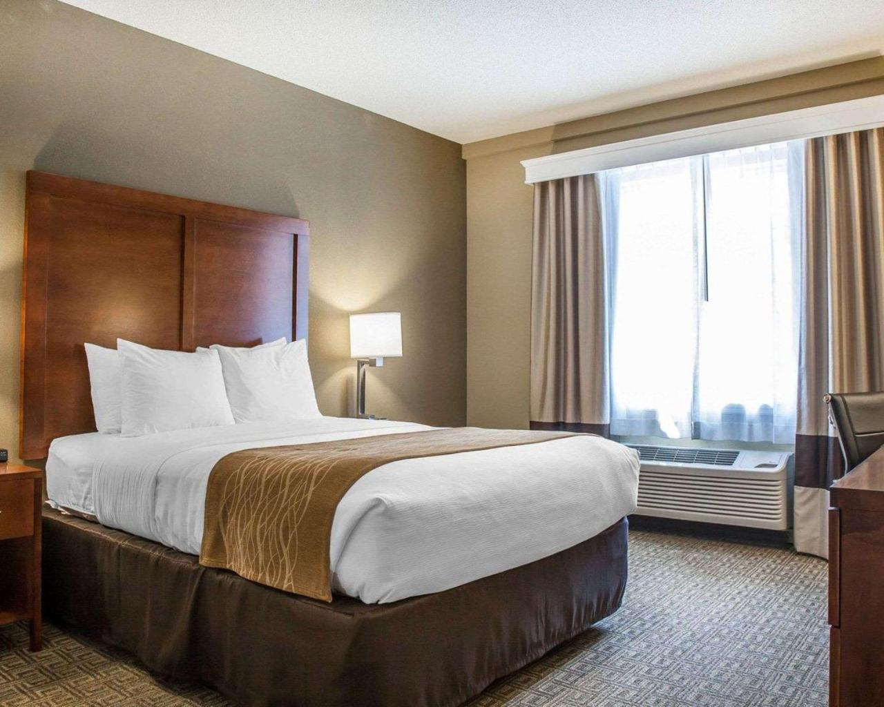 Comfort Inn & Suites Sturbridge-Brimfield 외부 사진