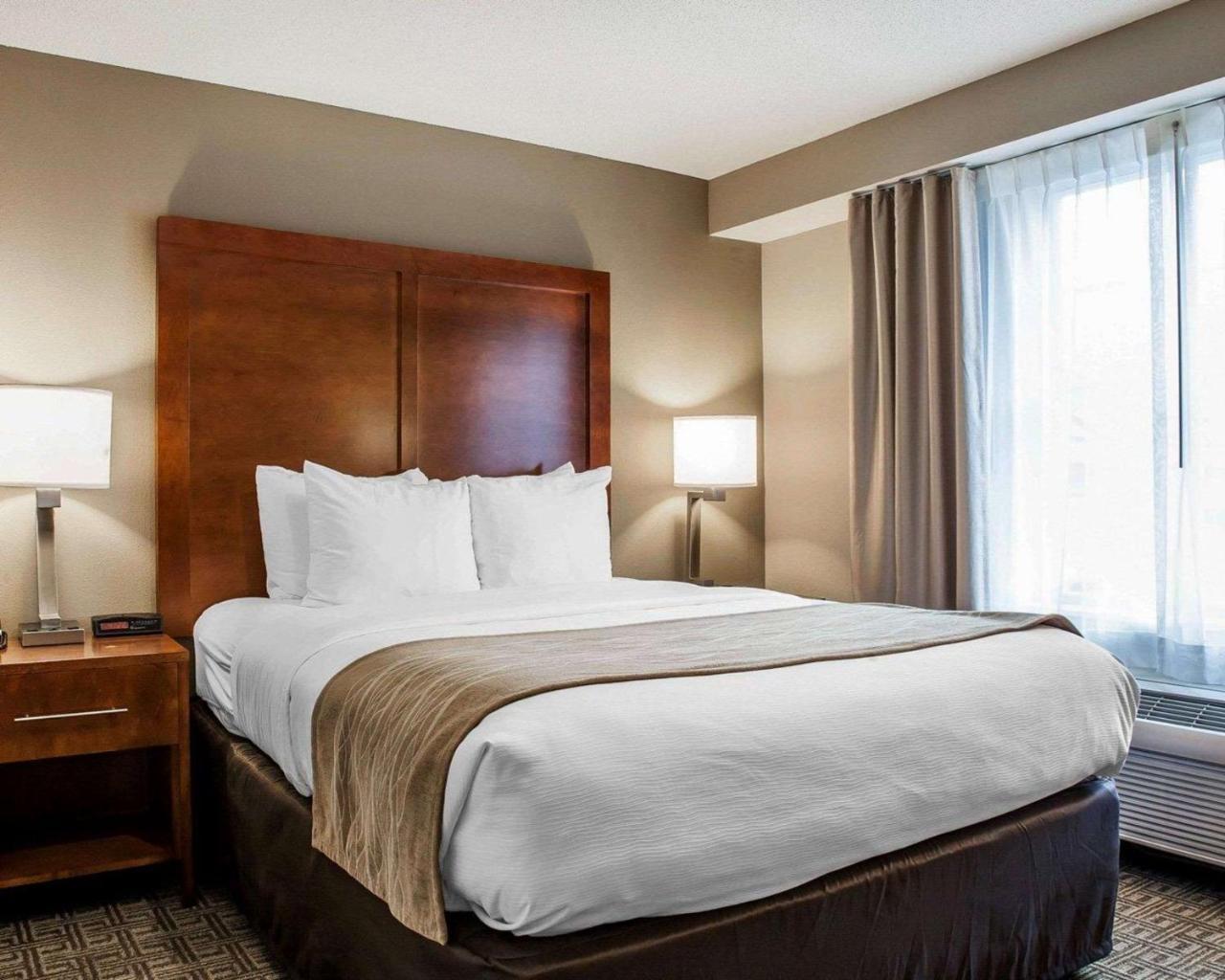 Comfort Inn & Suites Sturbridge-Brimfield 외부 사진
