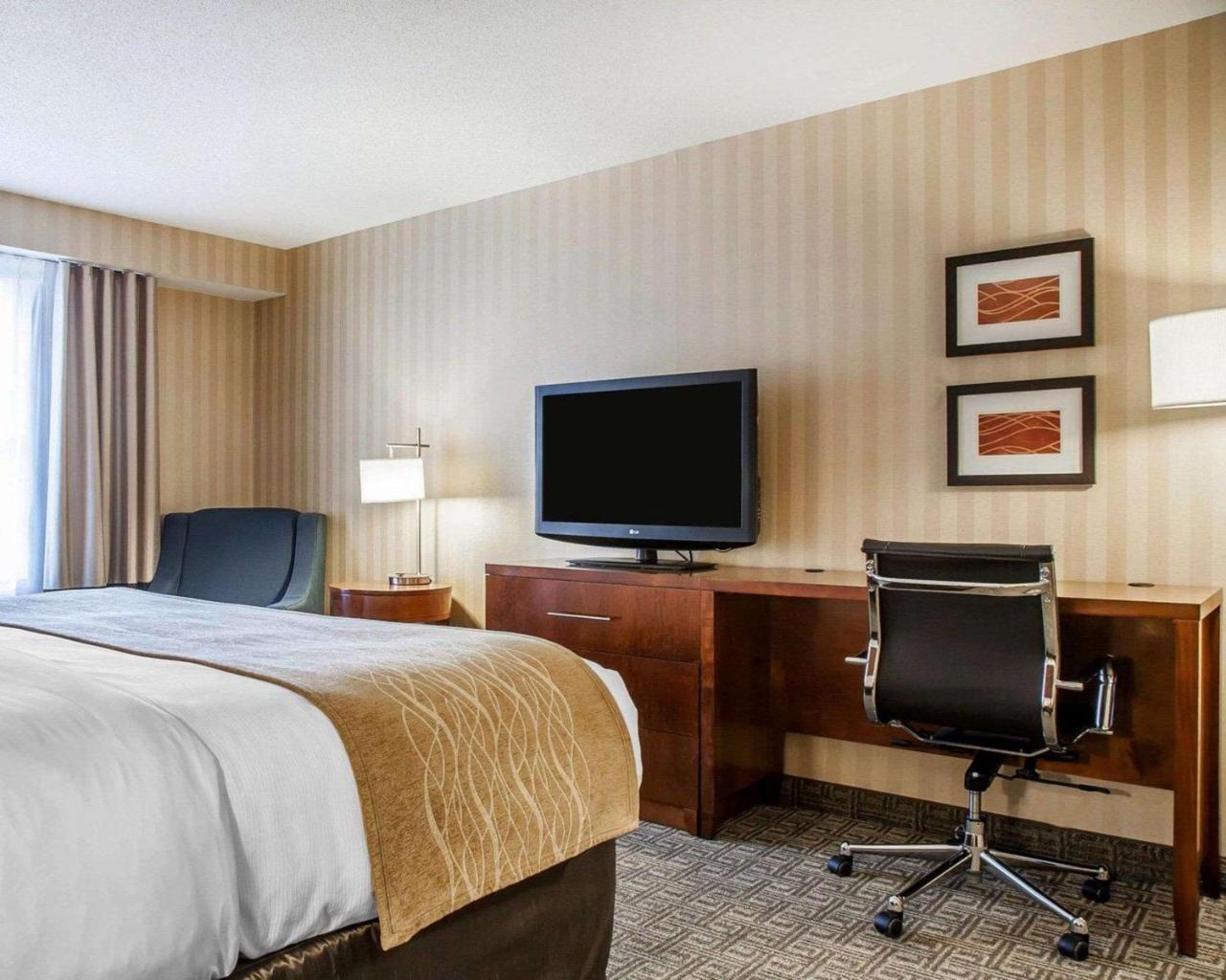 Comfort Inn & Suites Sturbridge-Brimfield 외부 사진