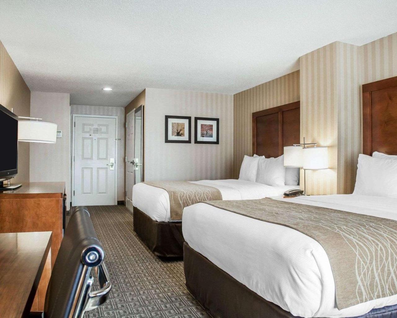 Comfort Inn & Suites Sturbridge-Brimfield 외부 사진