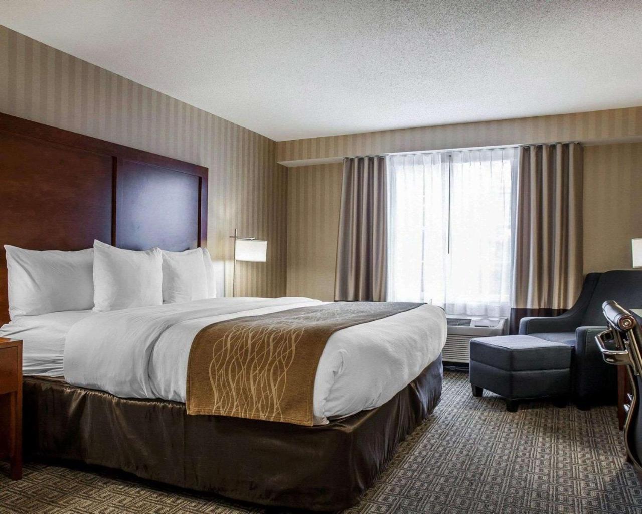 Comfort Inn & Suites Sturbridge-Brimfield 외부 사진